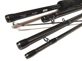 Amazon | トランスセンデンス Pulchra プルクラ62B 22モデル